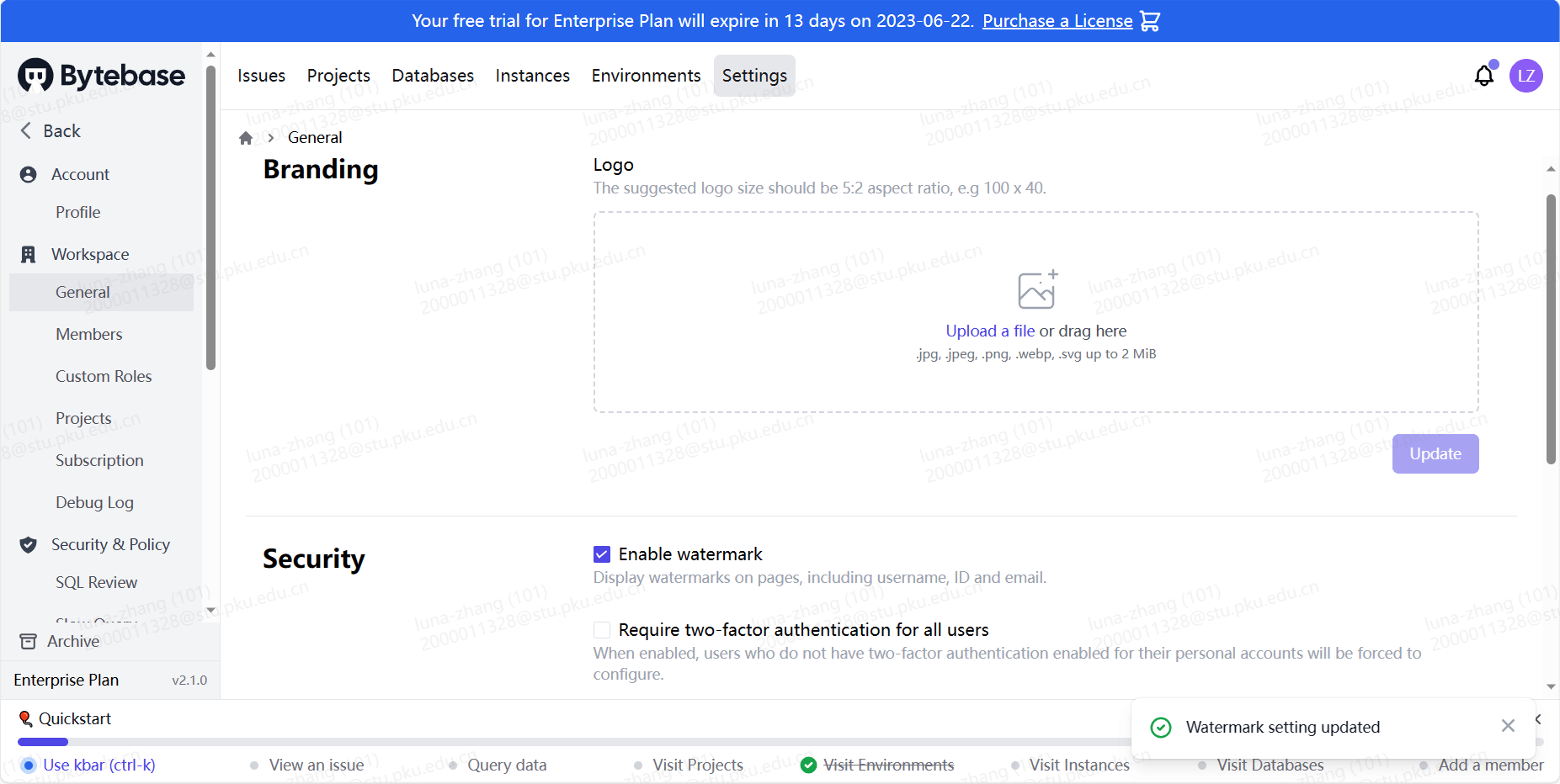 watermark-displaying.webp